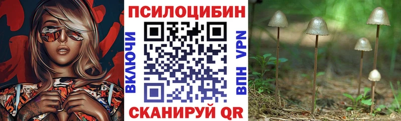 Галлюциногенные грибы мицелий  хочу наркоту  Богучар 